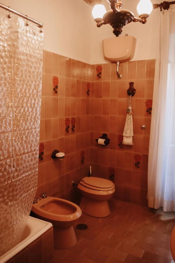 فندق Palazzetto Pergi Tolfa المظهر الخارجي الصورة